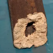 Pini Kay medienos briketo skerspjūvis; realus iliustracinis pavyzdys.